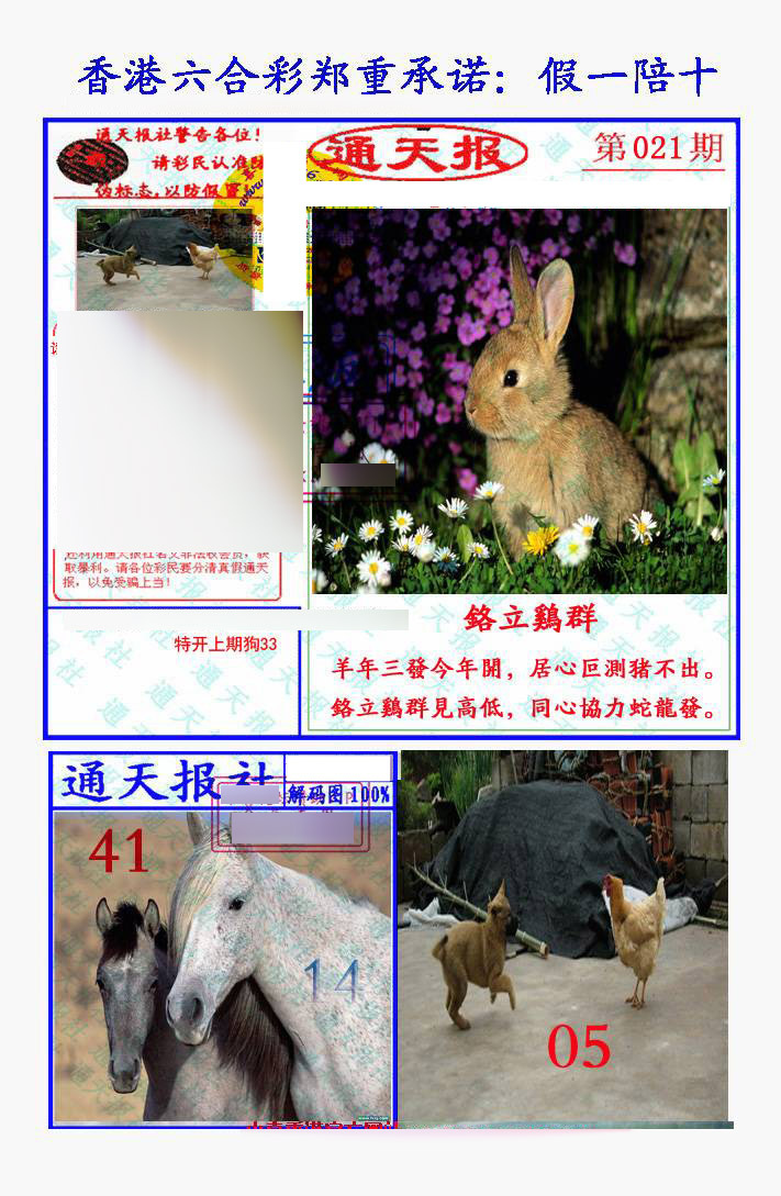021期假一陪十通天报[图]