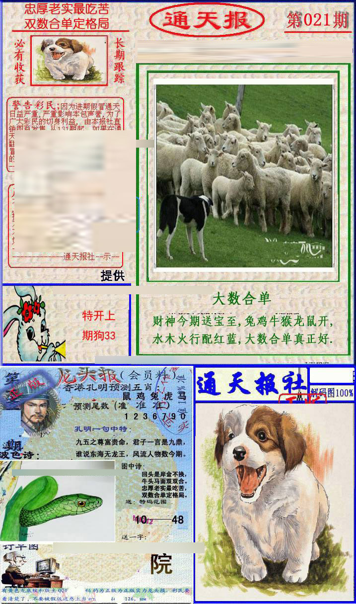 021期实力通天报[图]